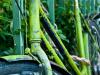 Green bike